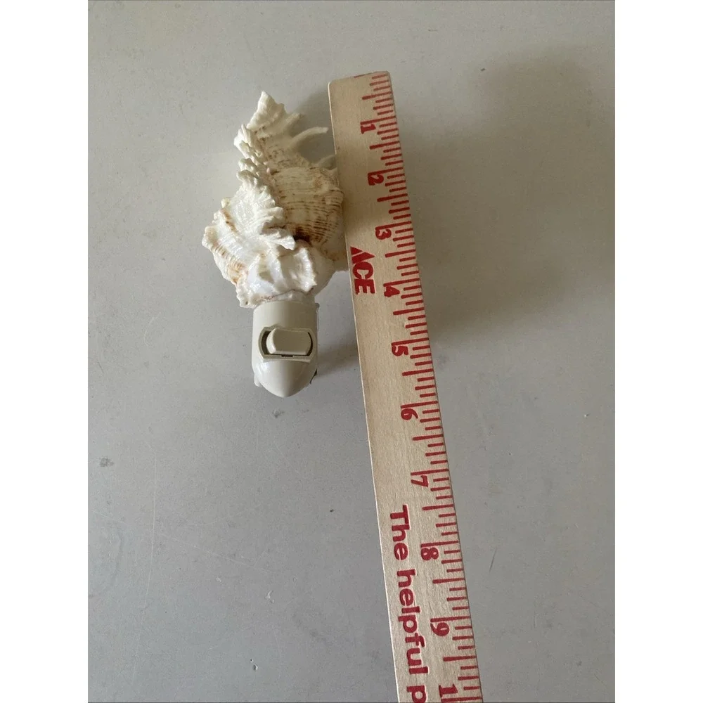 Conch Shell Night Light with Bulb 5